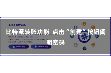 比特派转账功能  点击“创建”按钮阐明密码