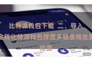 比特派钱包下载  二、导入金钱比特派钱包撑捏多链金钱处置