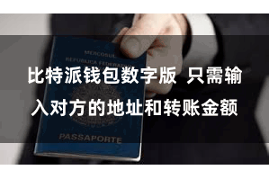 比特派钱包数字版  只需输入对方的地址和转账金额