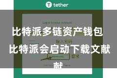 比特派多链资产钱包  比特派会启动下载文献