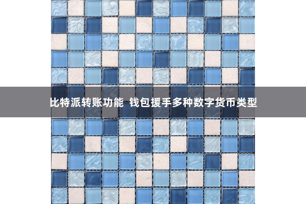 比特派转账功能  钱包援手多种数字货币类型
