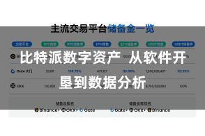比特派数字资产  从软件开垦到数据分析